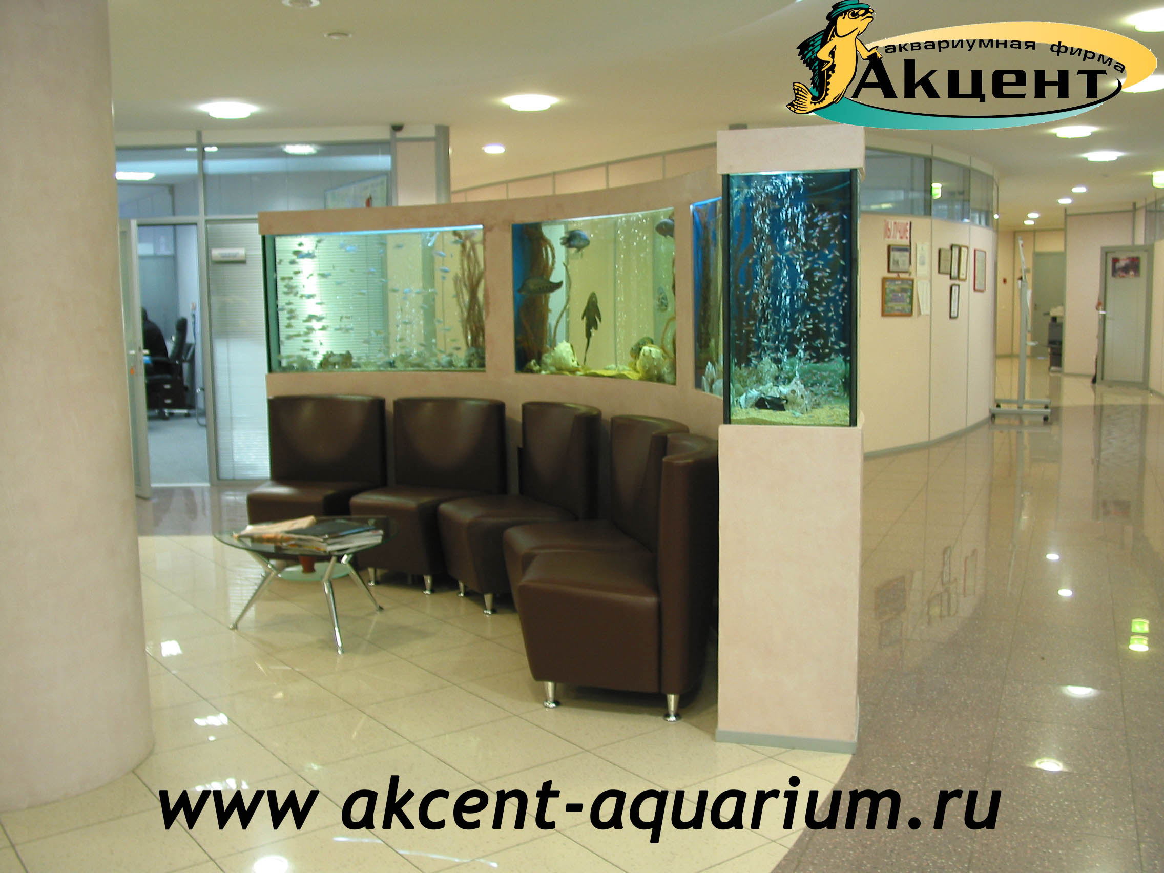 Акцент-Аквариум, 3 аквариума сложной формы